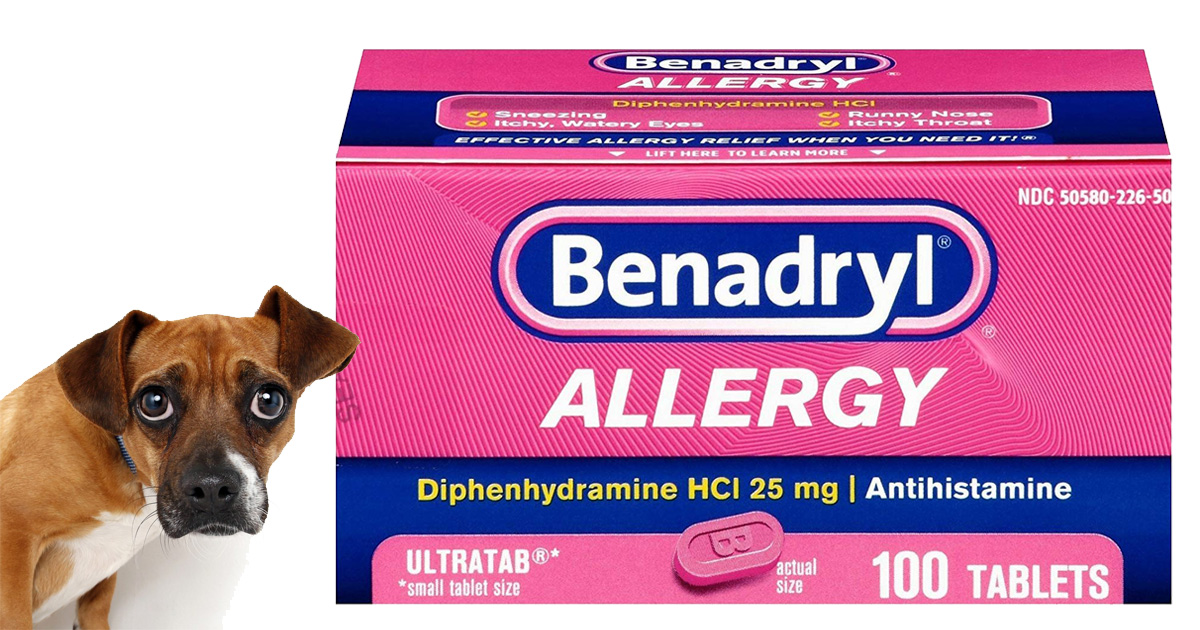 Can dogs have 2025 children's liquid benadryl